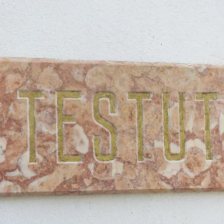 Quinta Pedra Firme 辛特拉