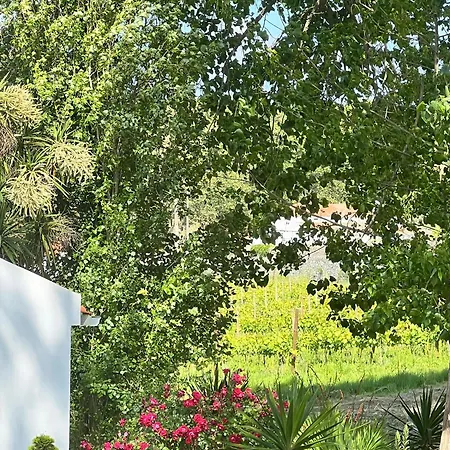 Quinta Pedra Firme * Sintra