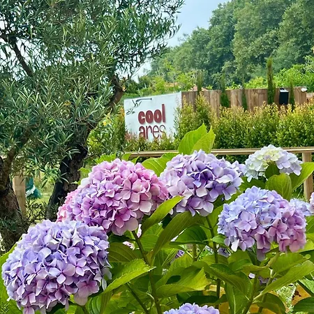 Quinta Pedra Firme Kır Evi